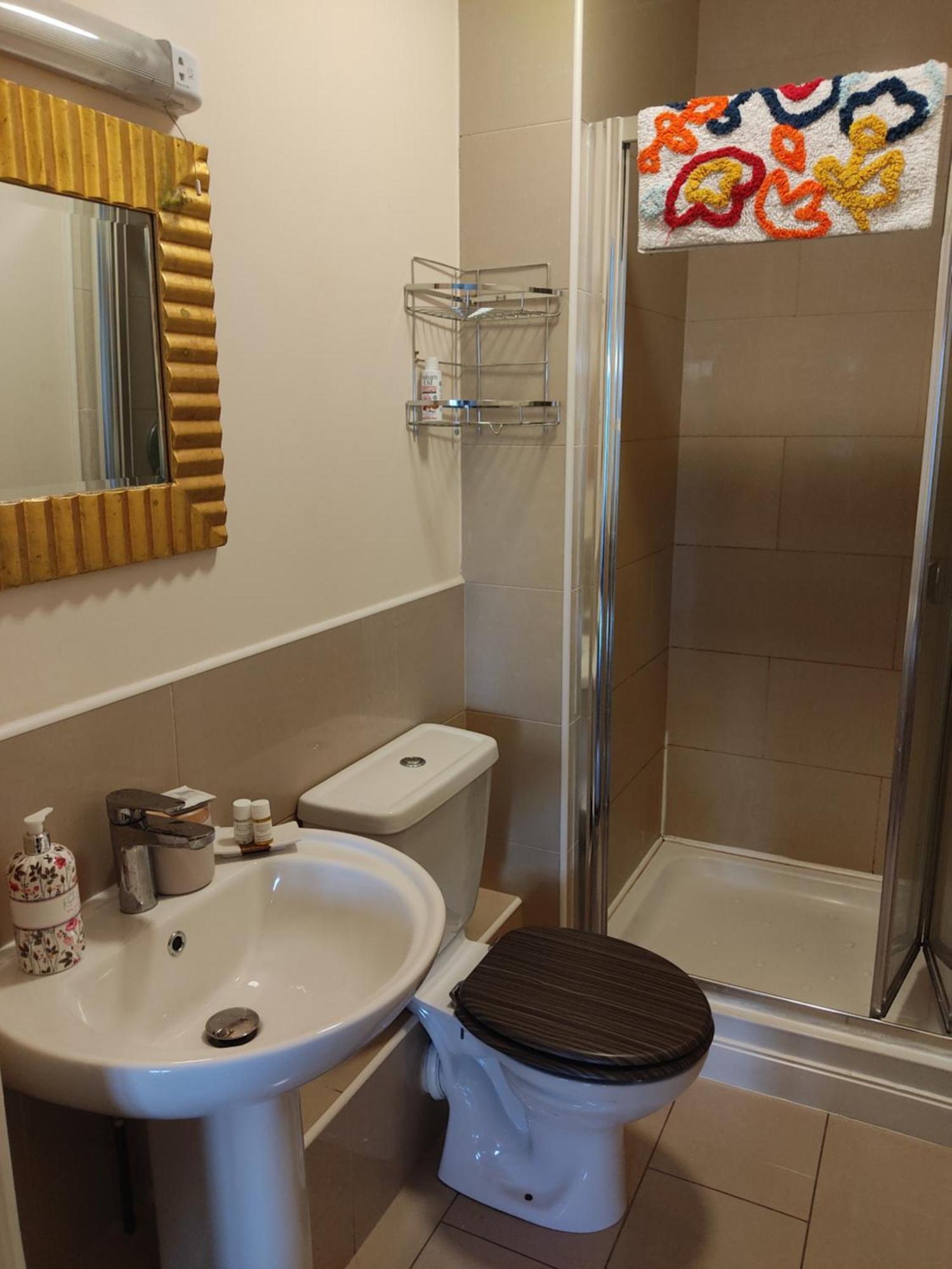 Swallows Nest - Spacious Bright Double Bedroom With Ensuite Bathroom Dublin Exterior photo